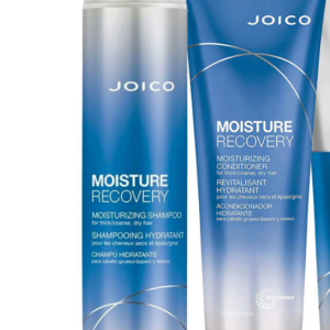 Joico Moisture Recovery Shampoo 300ml + Máscara 250ml