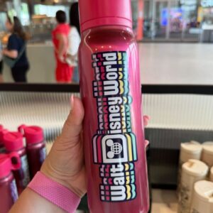 Garrafa Térmica Rosa Metálica Walt Disney World 591ml