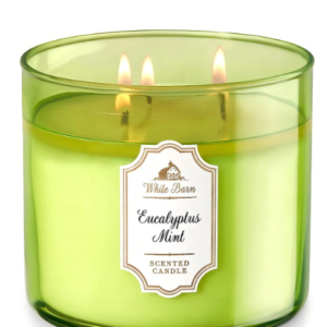 Bath Body Works Vela Aromática 3 pavios Eucalyptus Mint